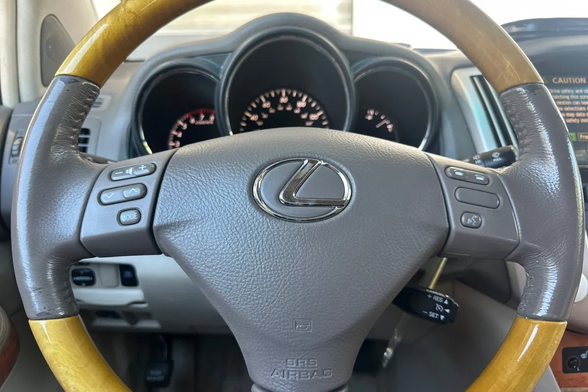 2006 Lexus RX 330 thumbnail 26