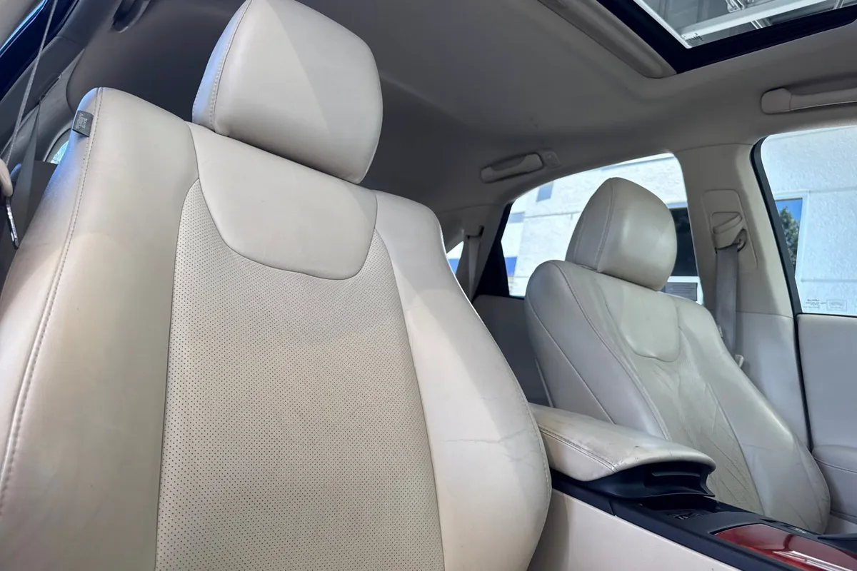 2010 Lexus RX 350 thumbnail 20