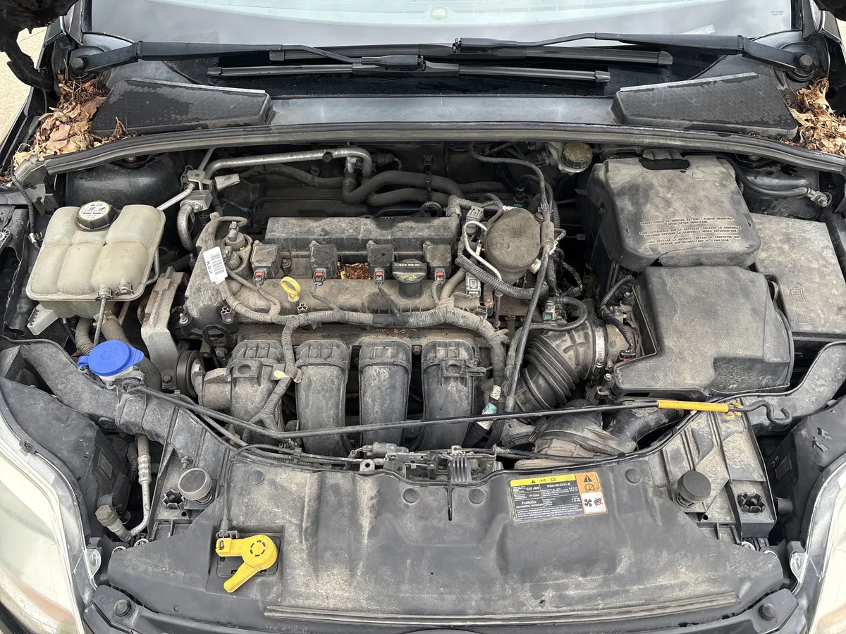 2013 Ford Focus SE thumbnail 30