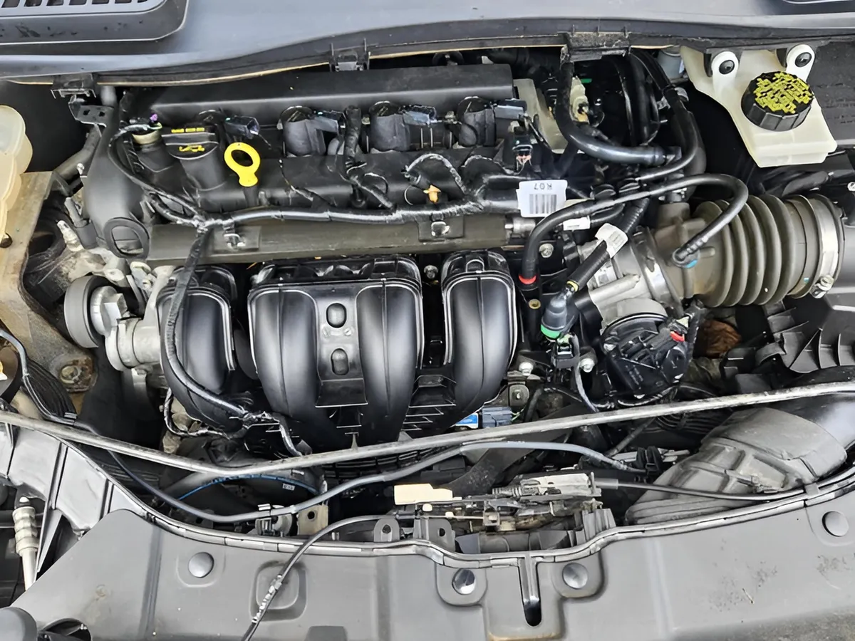 2015 Ford Escape SE thumbnail 24