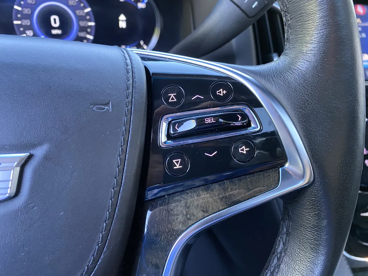 2016 CADILLAC Escalade Platinum thumbnail 20