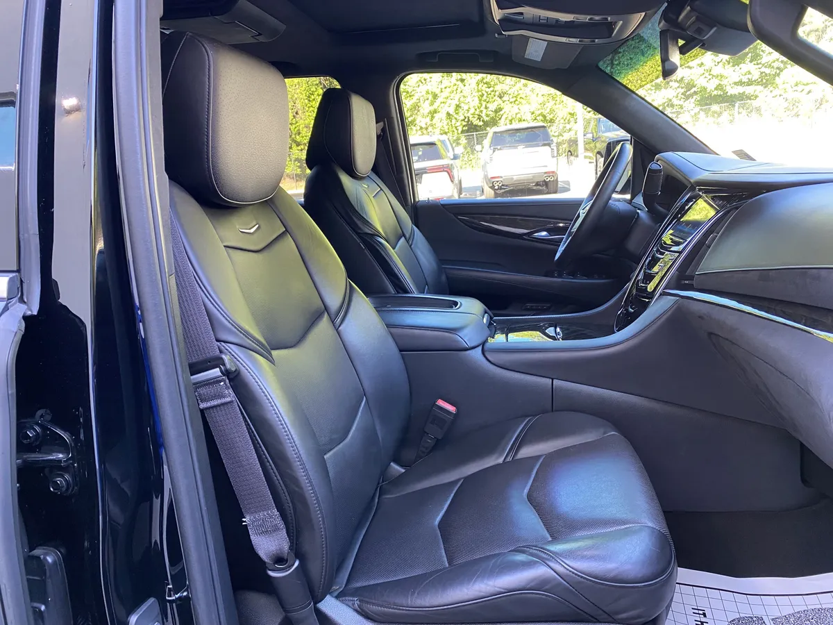 2016 CADILLAC Escalade Platinum thumbnail 38