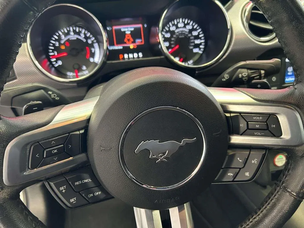 2016 Ford Mustang EcoBoost thumbnail 18