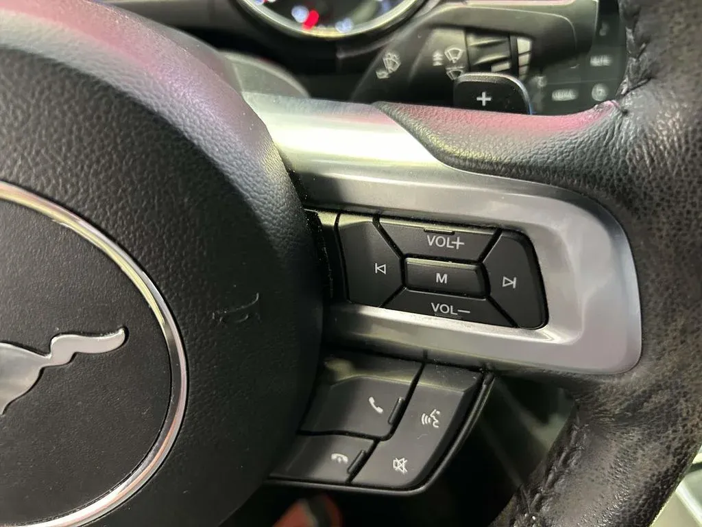 2016 Ford Mustang EcoBoost thumbnail 21