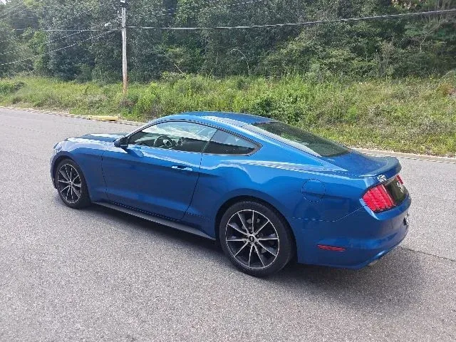 2017 Ford Mustang EcoBoost thumbnail 4