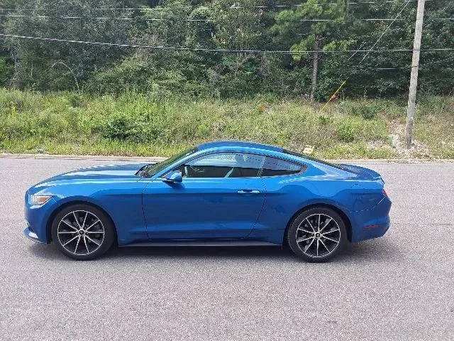 2017 Ford Mustang EcoBoost thumbnail 5