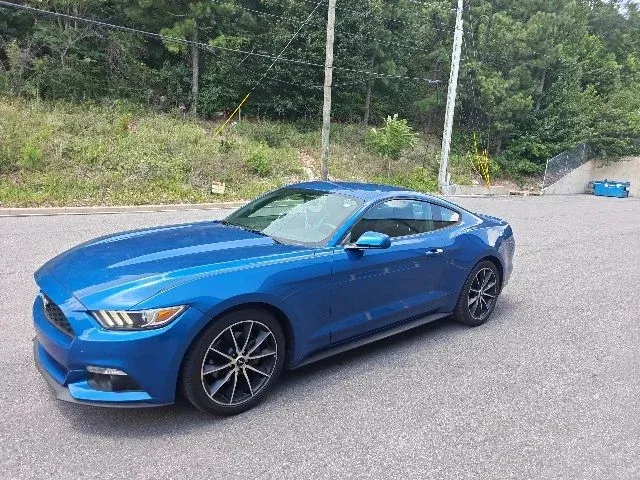 2017 Ford Mustang EcoBoost thumbnail 6