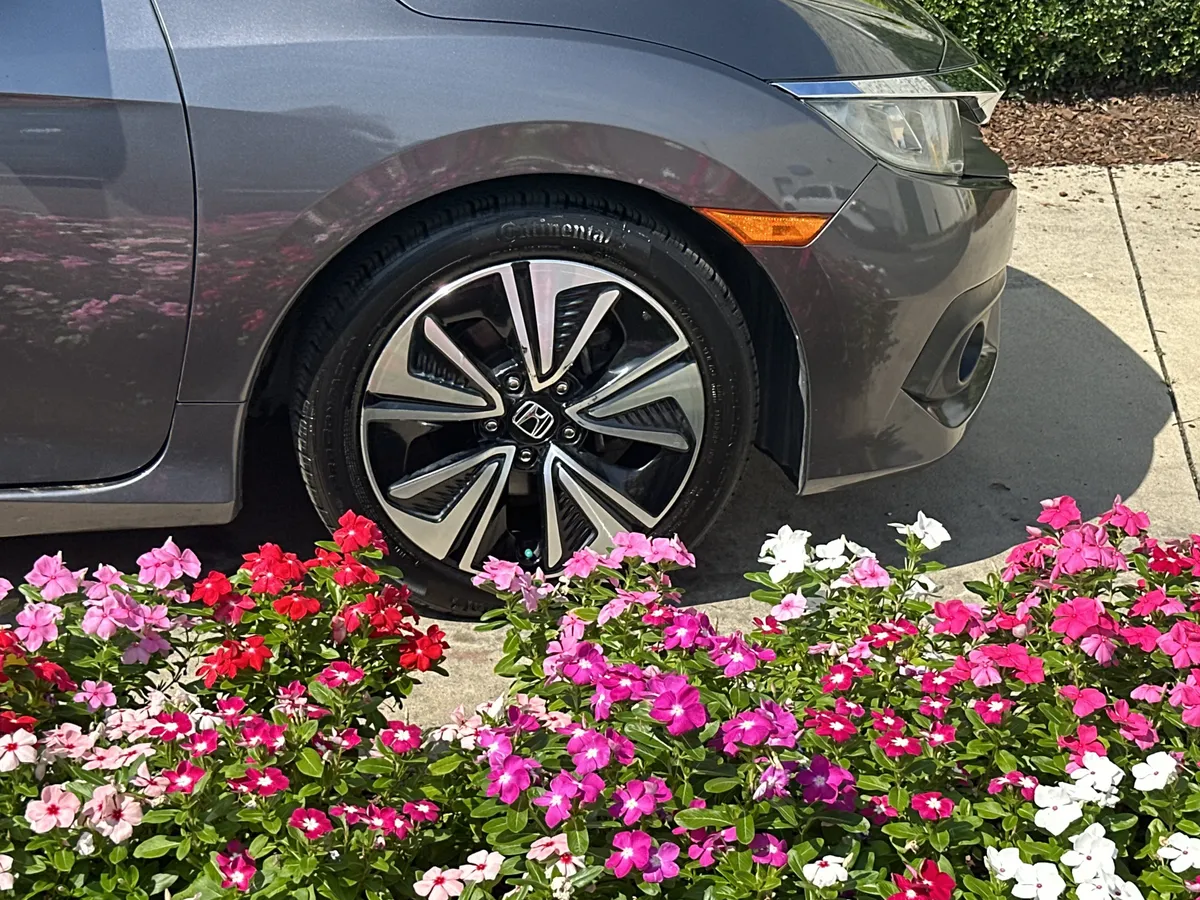 2017 Honda Civic EX-L thumbnail 10