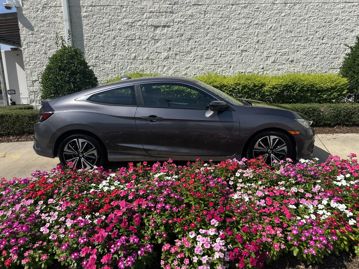 2017 Honda Civic EX-L thumbnail 8