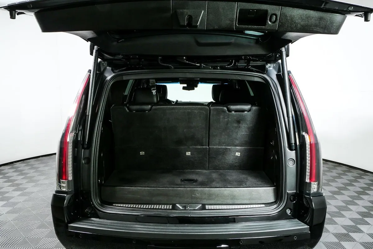 2018 Cadillac Escalade Platinum thumbnail 33