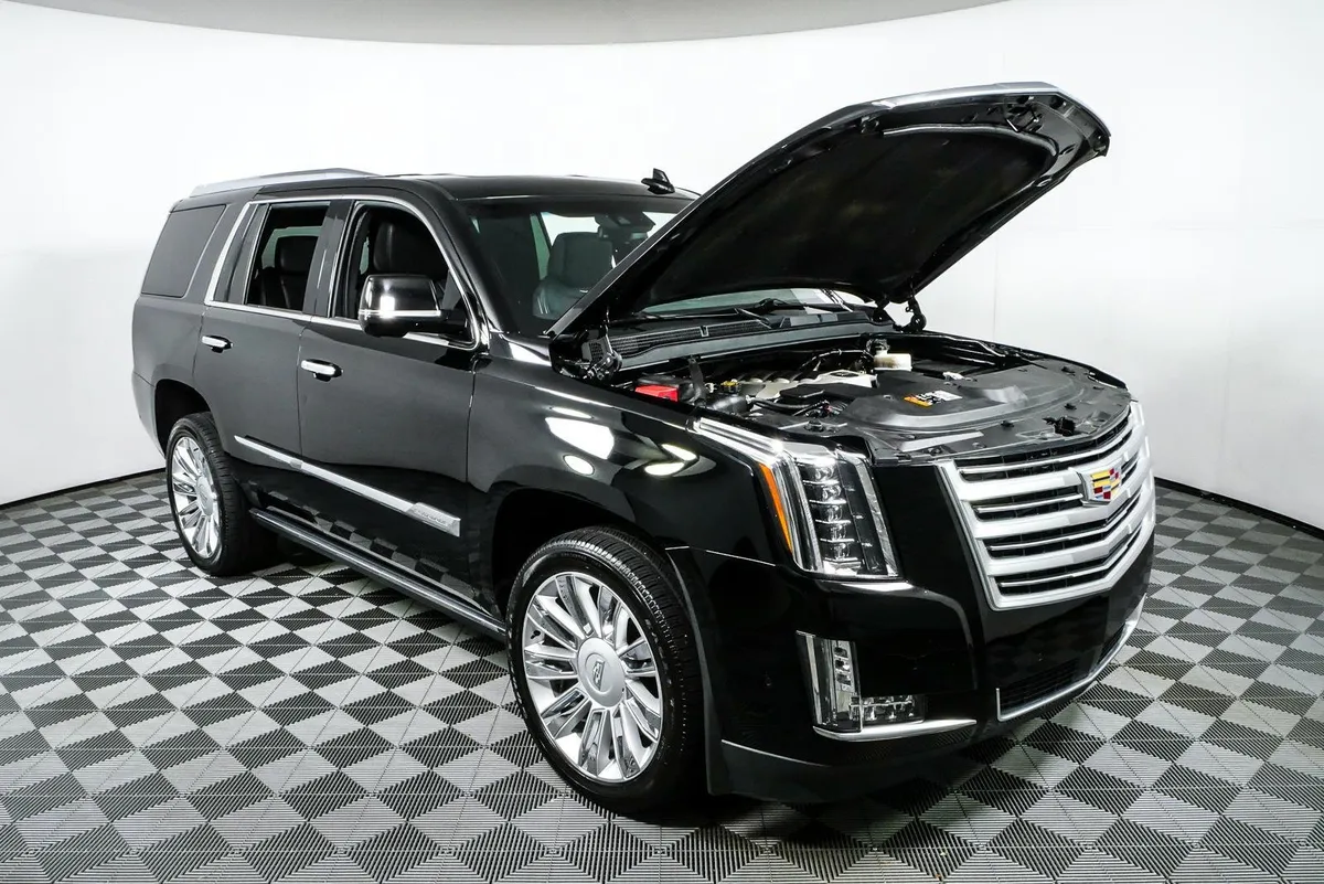 2018 Cadillac Escalade Platinum thumbnail 39