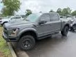 2018 Ford F-150 Raptor thumbnail 4