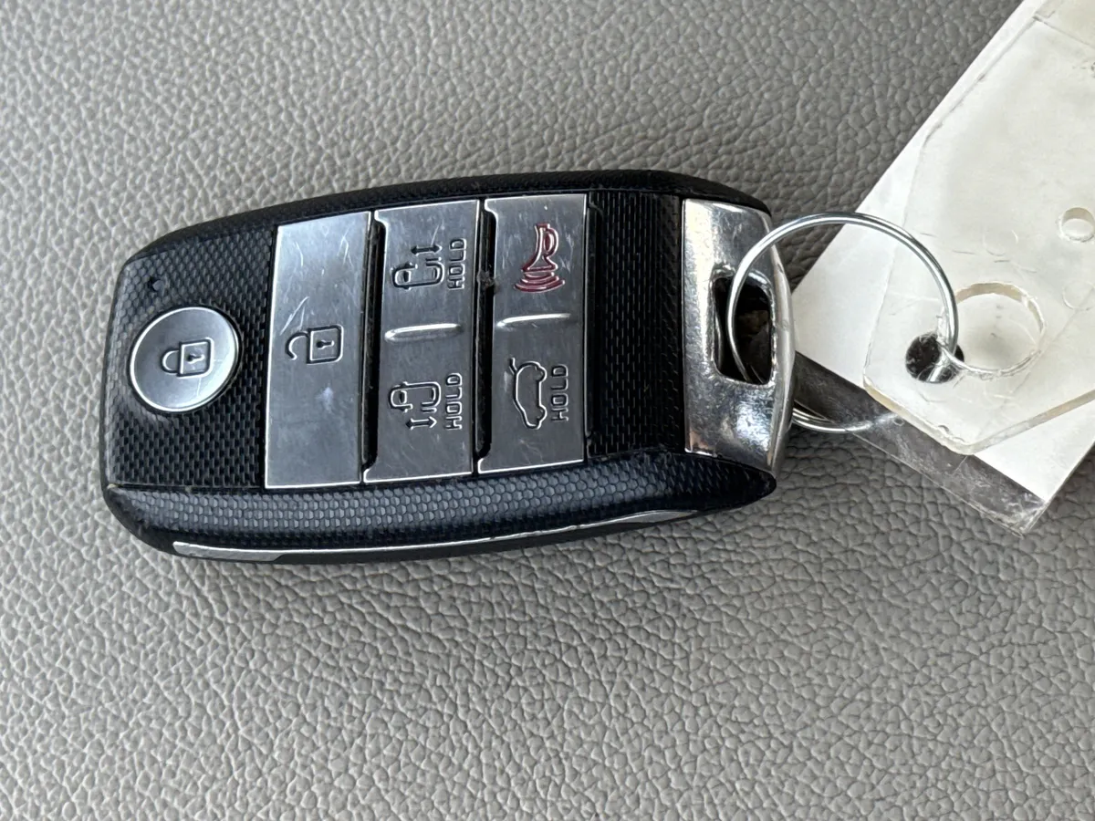 2018 Kia Sedona SX-L thumbnail 36