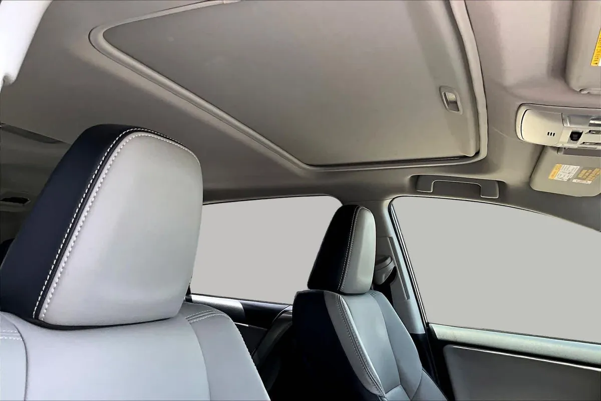 2018 Toyota RAV4 Limited thumbnail 14