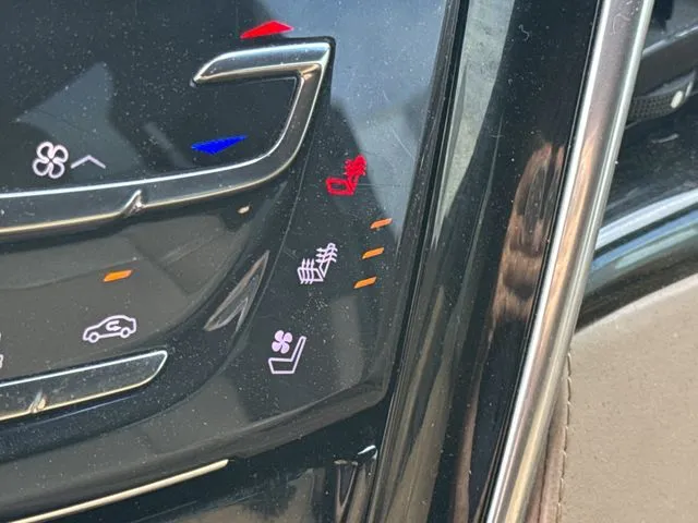 2019 CADILLAC Escalade ESV Platinum thumbnail 29
