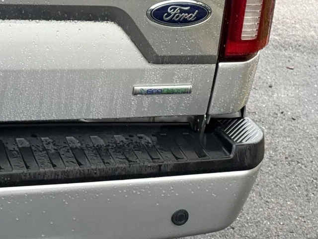 2019 Ford F-150 thumbnail 11
