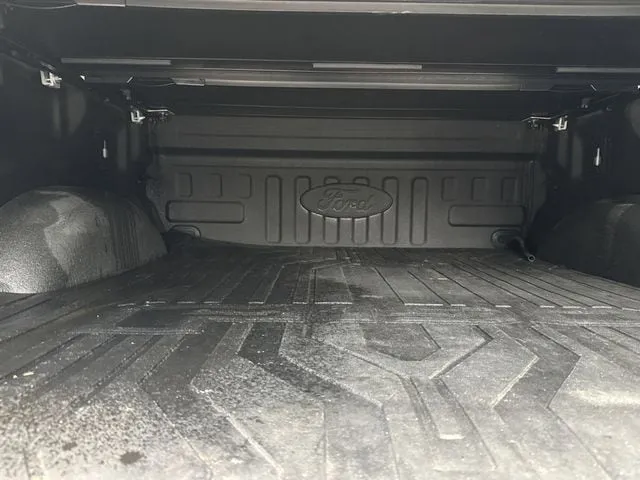 2019 Ford F-150 thumbnail 12