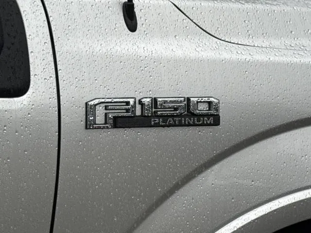 2019 Ford F-150 thumbnail 5
