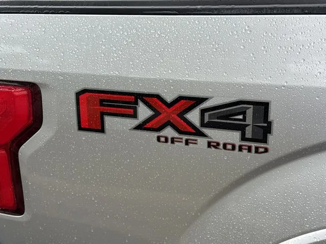 2019 Ford F-150 thumbnail 6