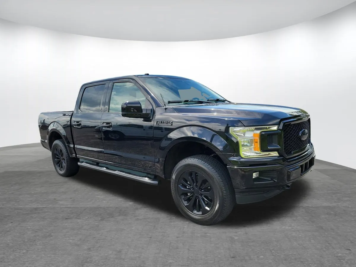 2019 Ford F-150 thumbnail 15
