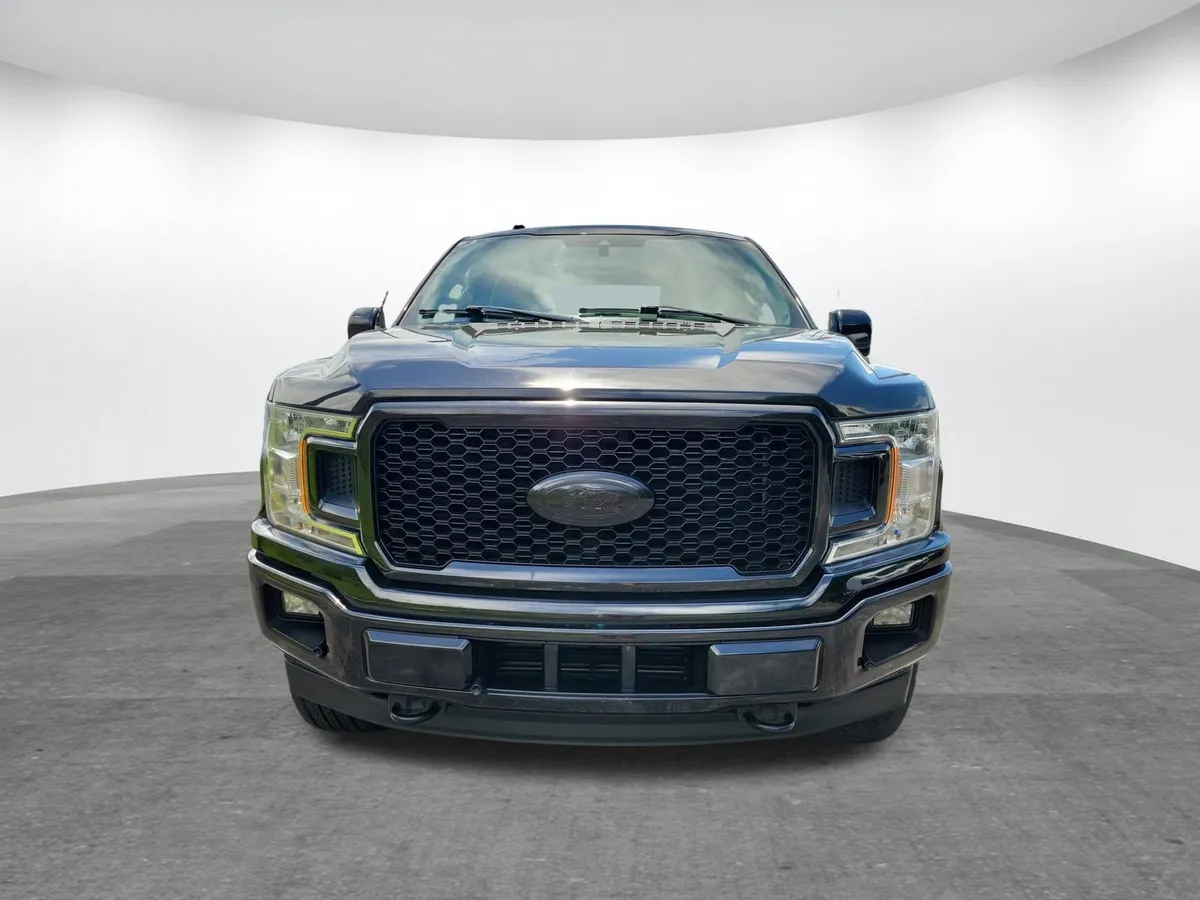 2019 Ford F-150 thumbnail 16