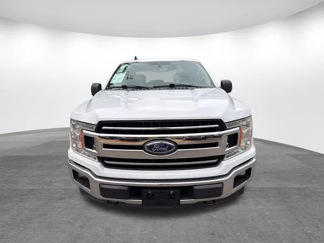 2019 Ford F-150 thumbnail 2