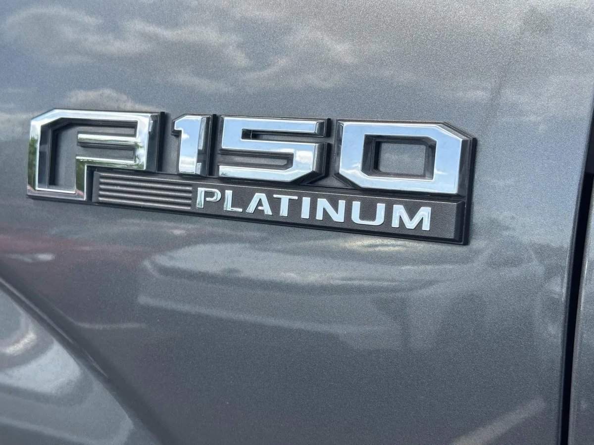2019 Ford F-150 Platinum thumbnail 10