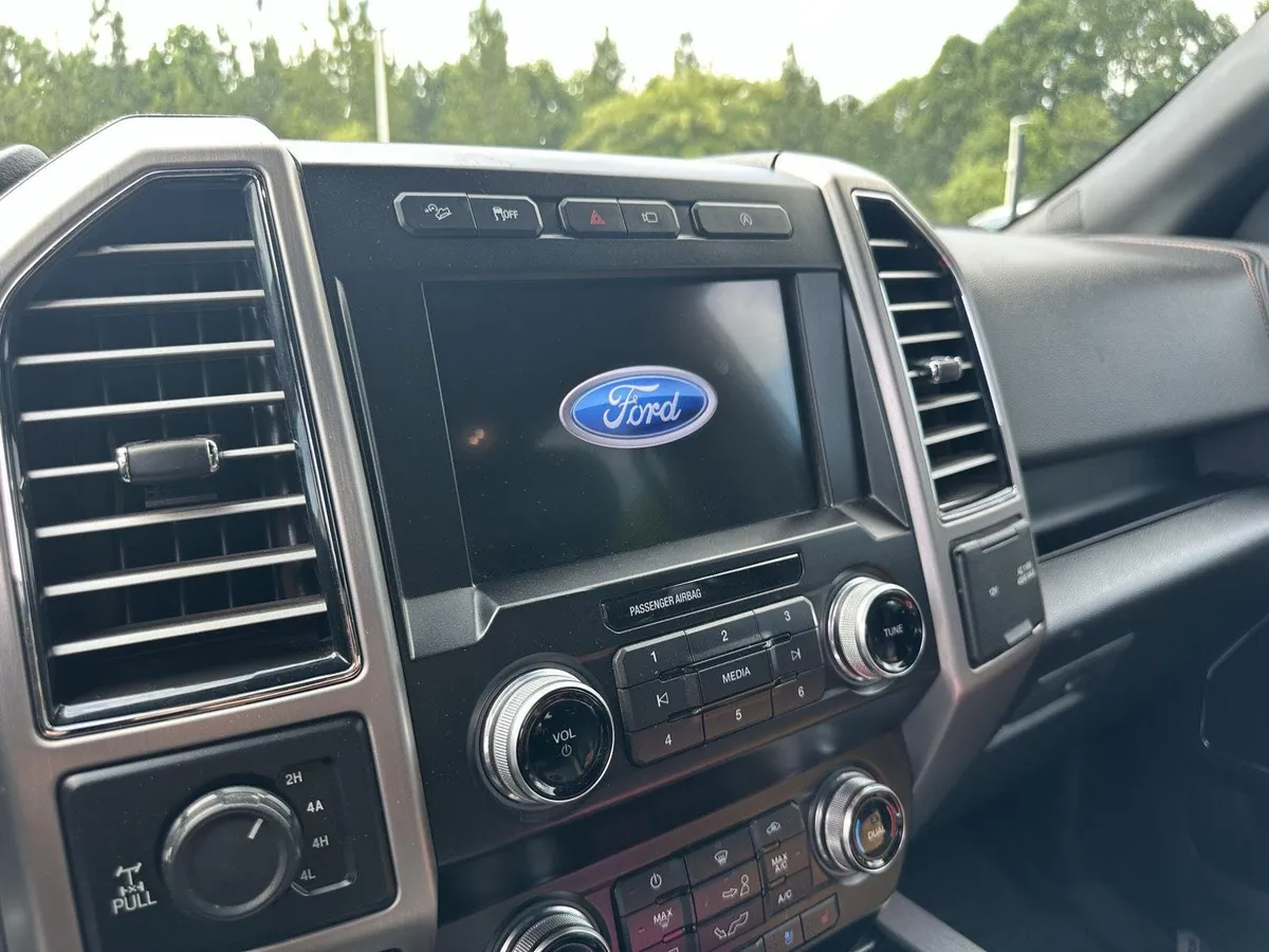 2019 Ford F-150 Platinum thumbnail 12