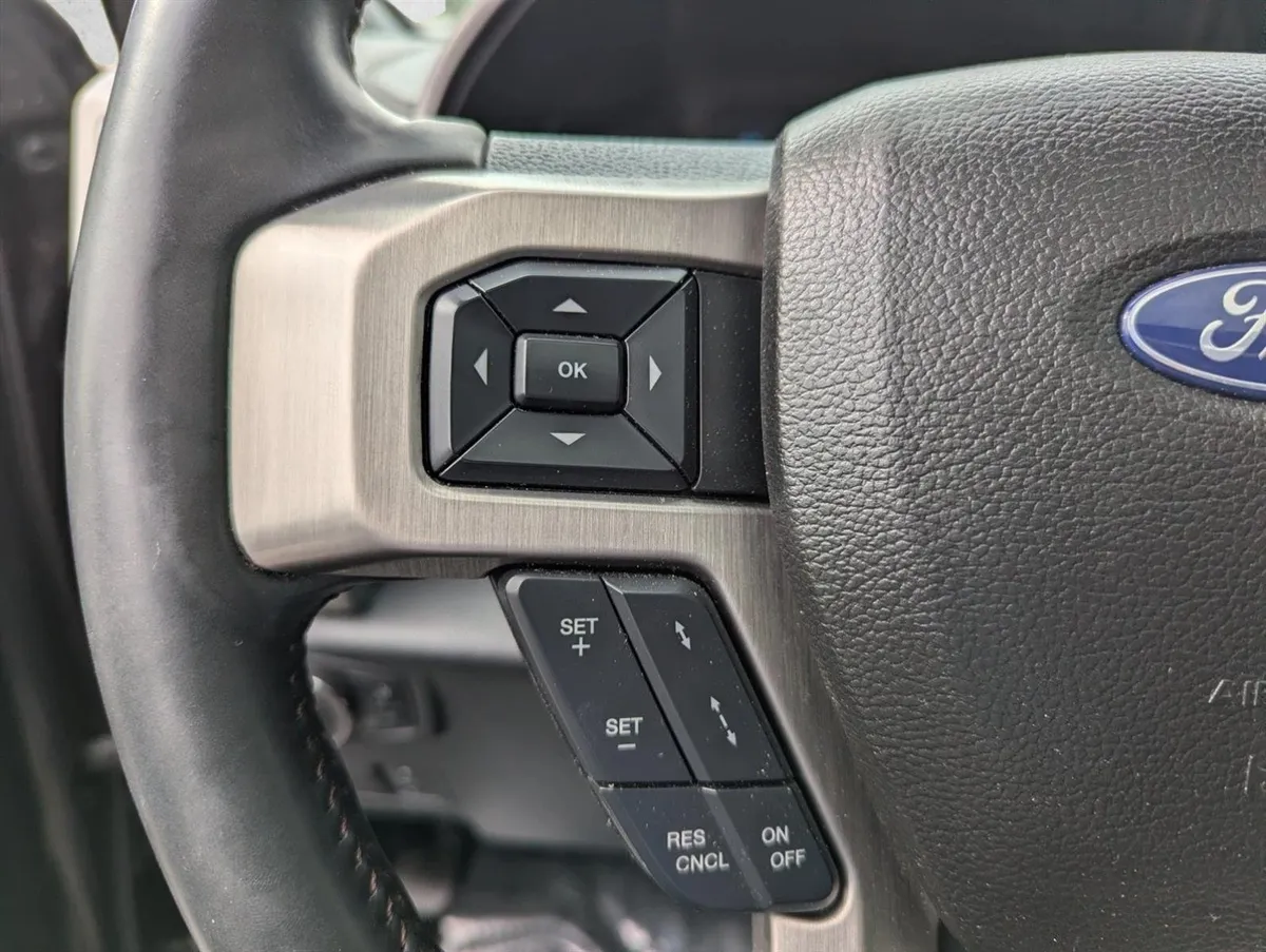 2019 Ford F-450 Platinum thumbnail 13