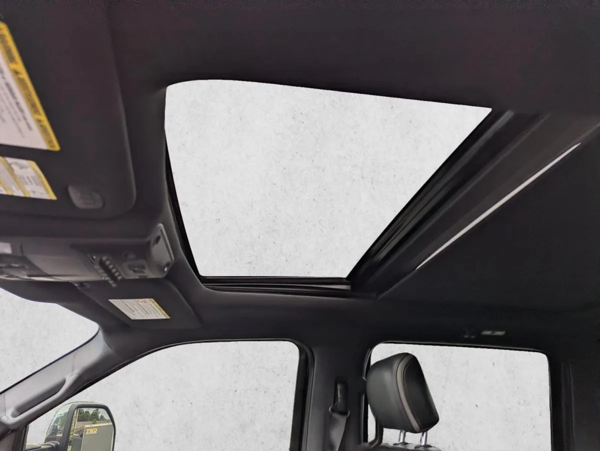 2019 Ford F-450 Platinum thumbnail 22