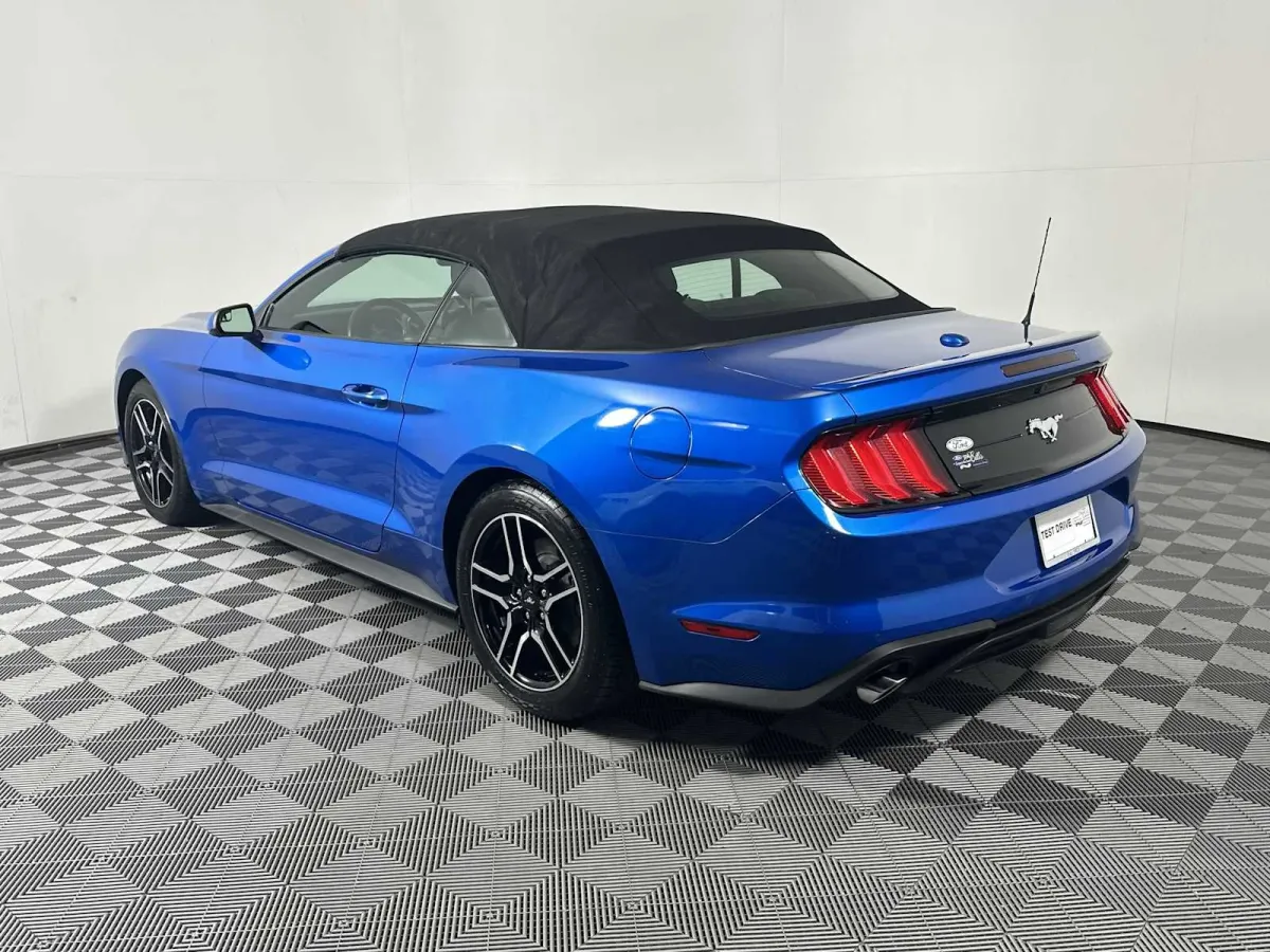 2019 Ford Mustang EcoBoost thumbnail 10