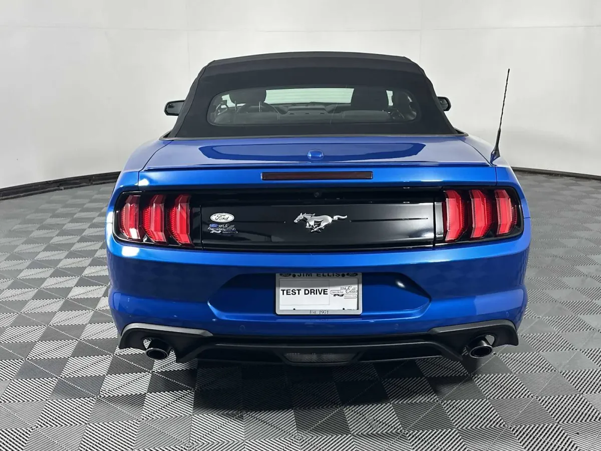2019 Ford Mustang EcoBoost thumbnail 11