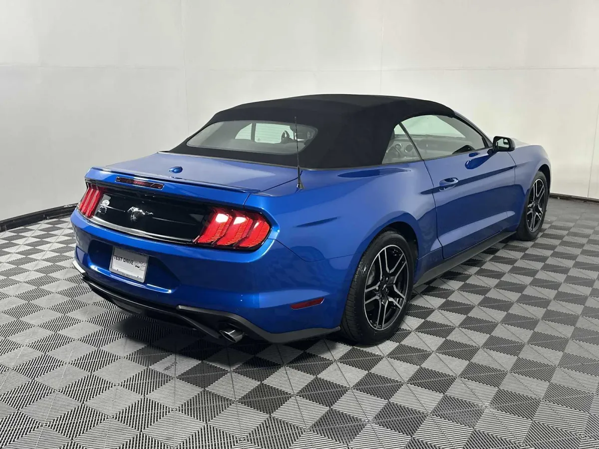 2019 Ford Mustang EcoBoost thumbnail 12