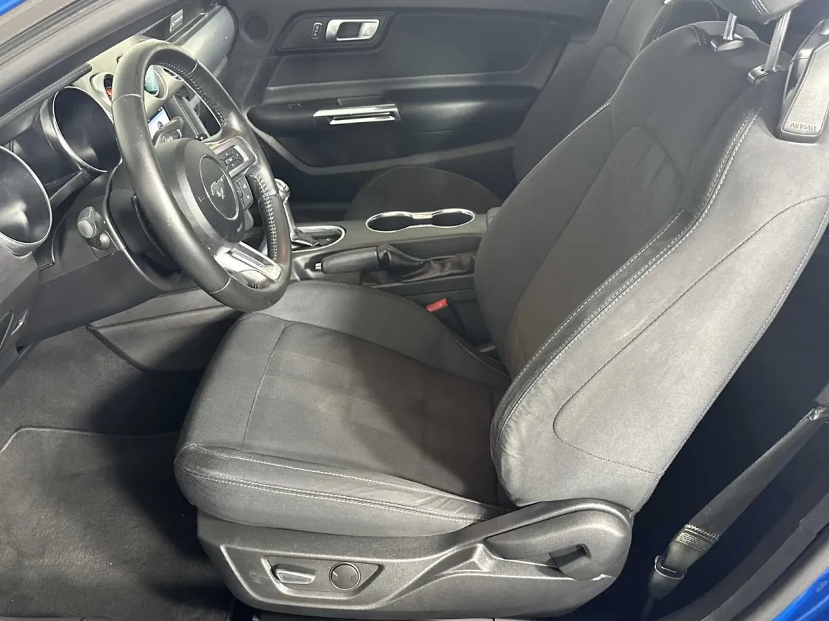 2019 Ford Mustang EcoBoost thumbnail 13