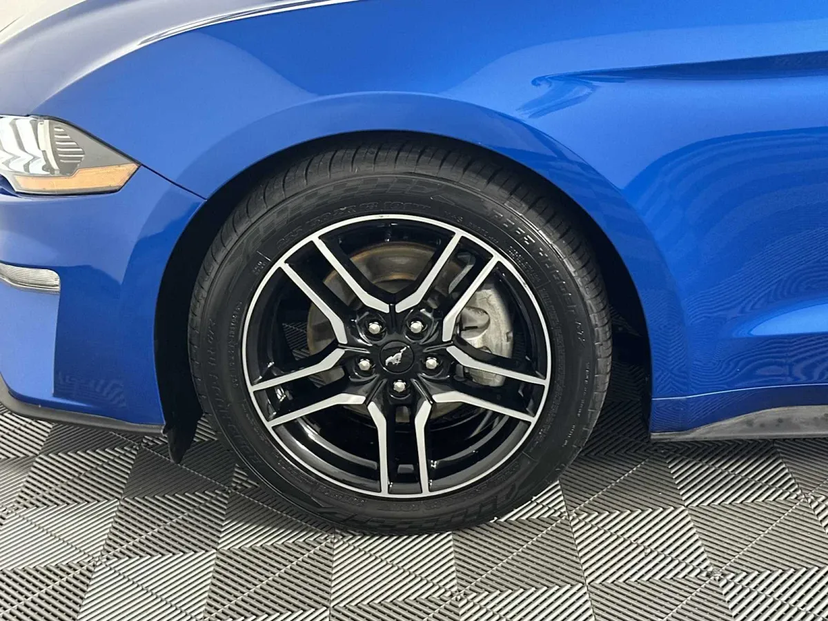 2019 Ford Mustang EcoBoost thumbnail 17