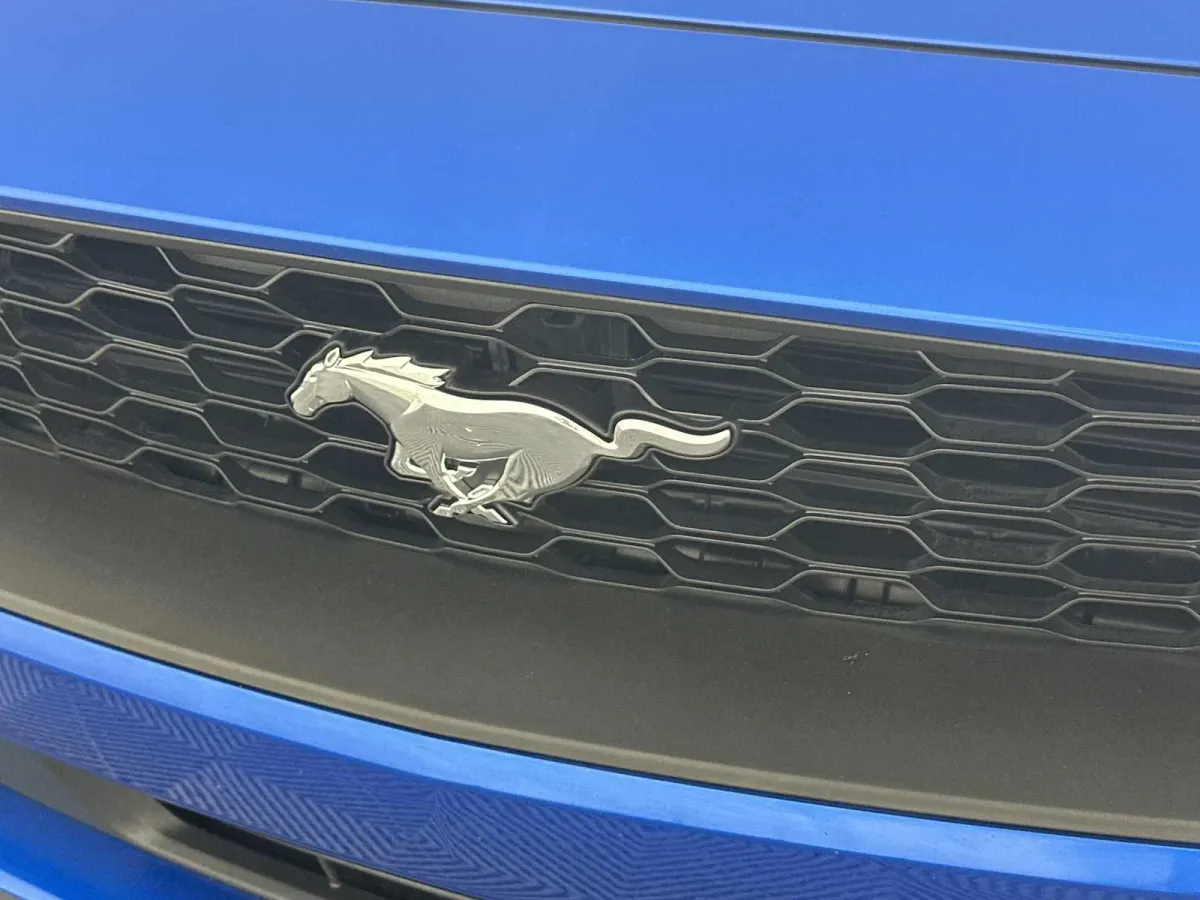 2019 Ford Mustang EcoBoost thumbnail 18