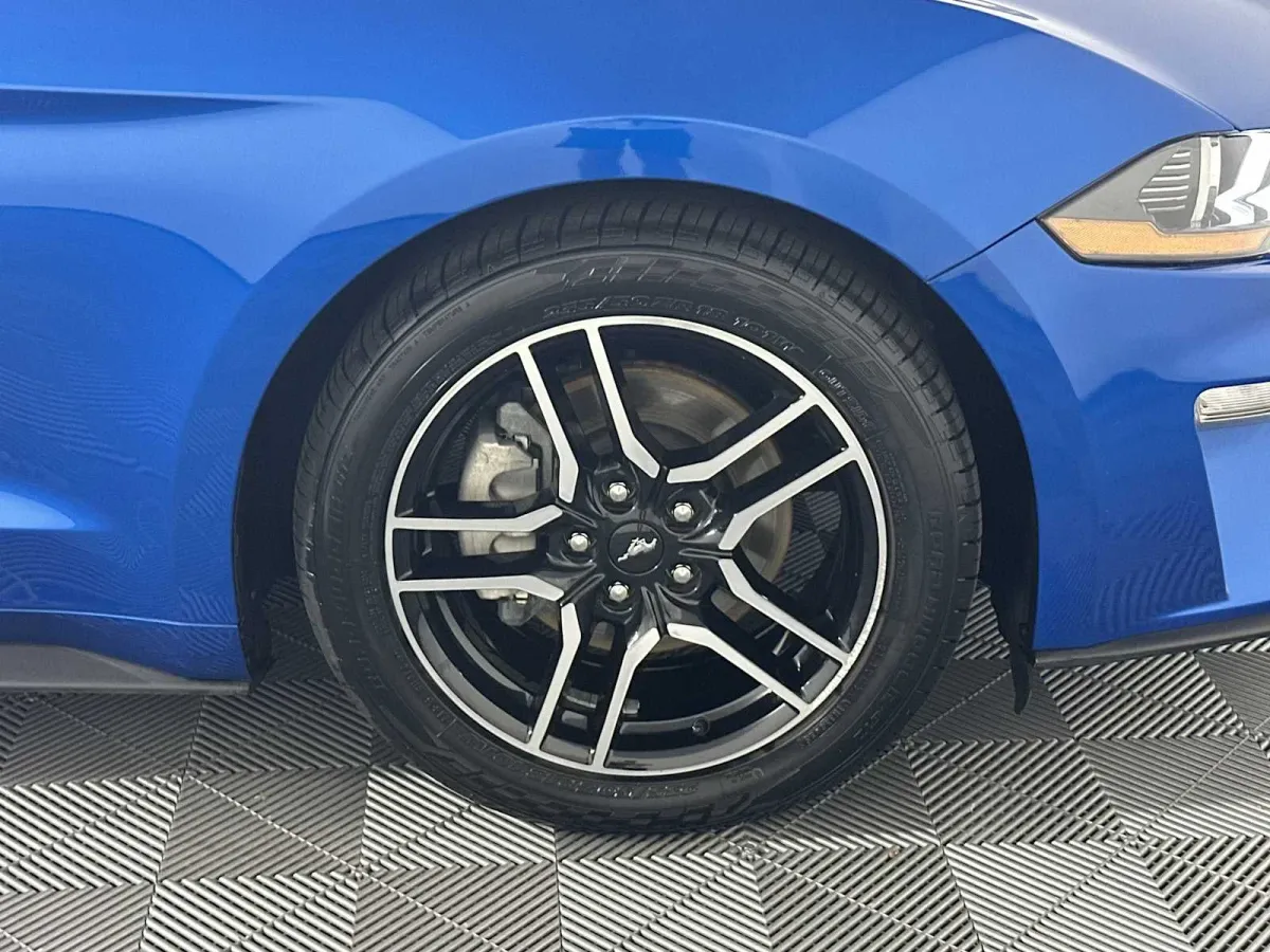 2019 Ford Mustang EcoBoost thumbnail 19
