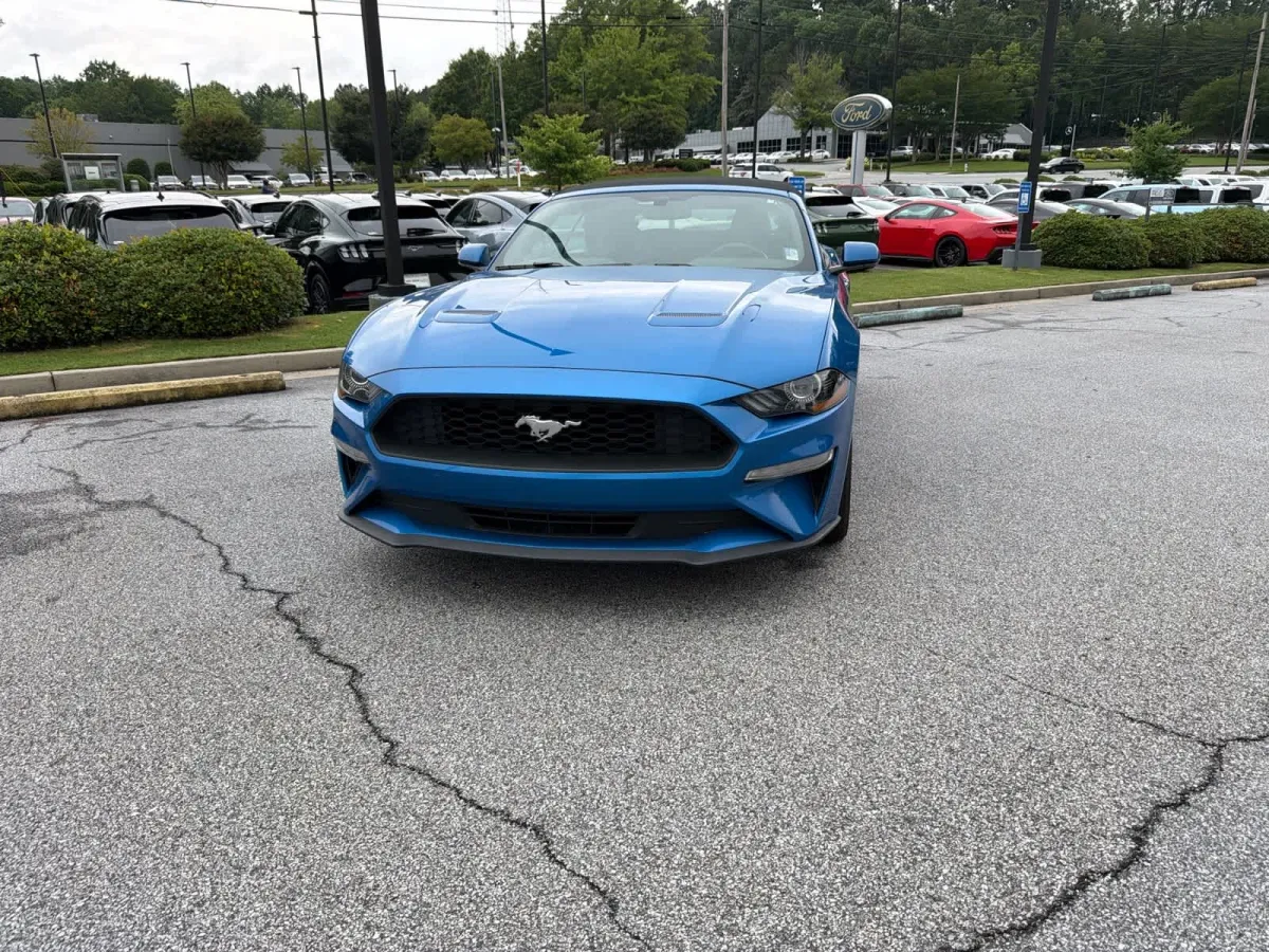 2019 Ford Mustang EcoBoost thumbnail 2