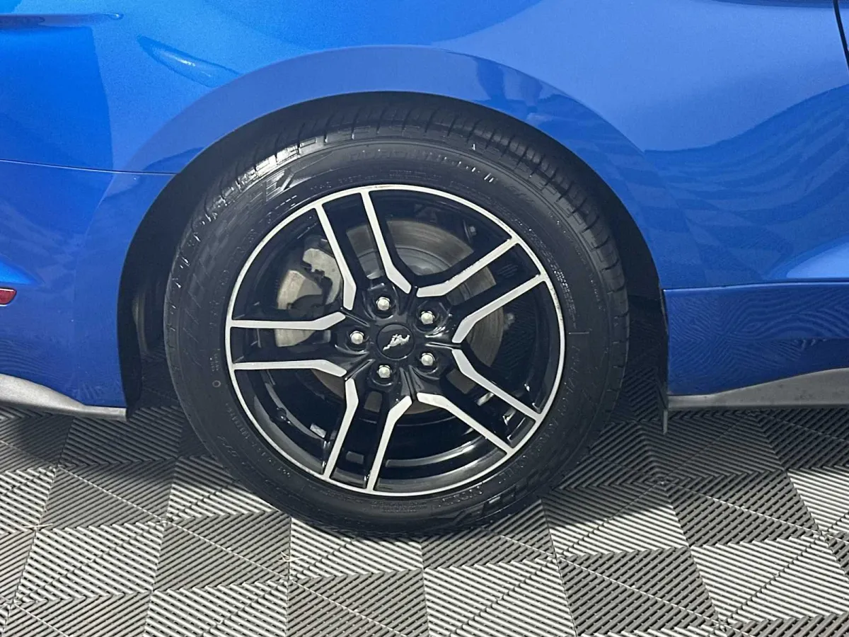 2019 Ford Mustang EcoBoost thumbnail 22