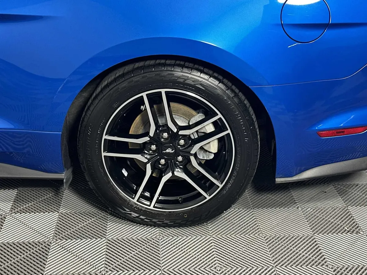 2019 Ford Mustang EcoBoost thumbnail 23