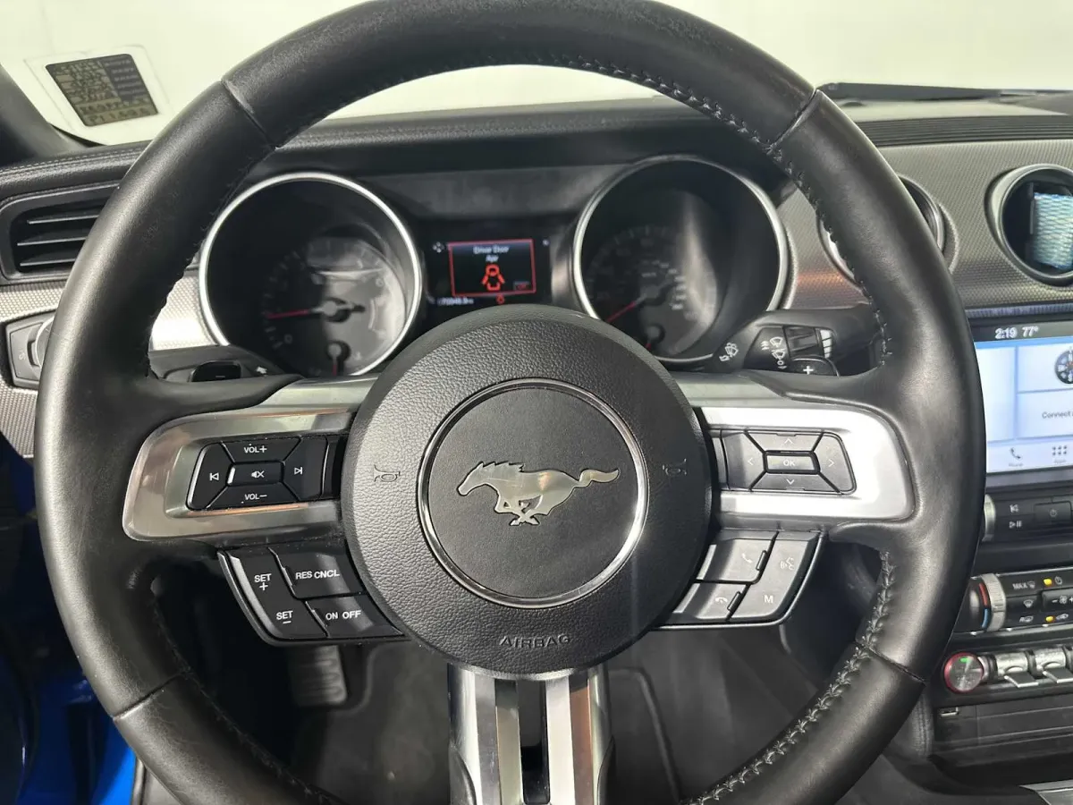 2019 Ford Mustang EcoBoost thumbnail 24