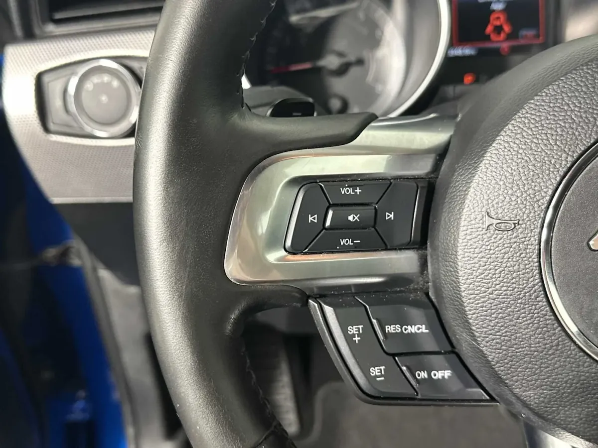 2019 Ford Mustang EcoBoost thumbnail 25