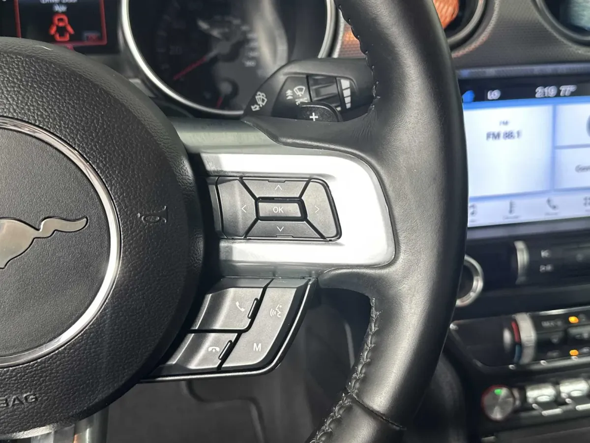 2019 Ford Mustang EcoBoost thumbnail 26