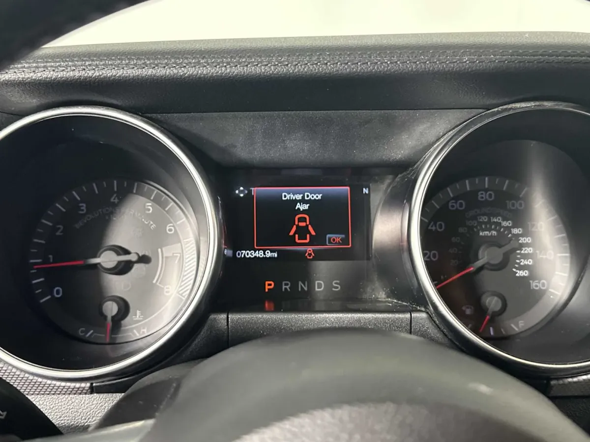 2019 Ford Mustang EcoBoost thumbnail 27