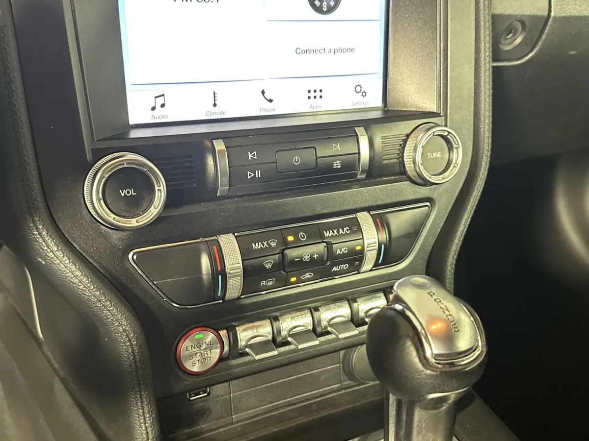 2019 Ford Mustang EcoBoost thumbnail 29