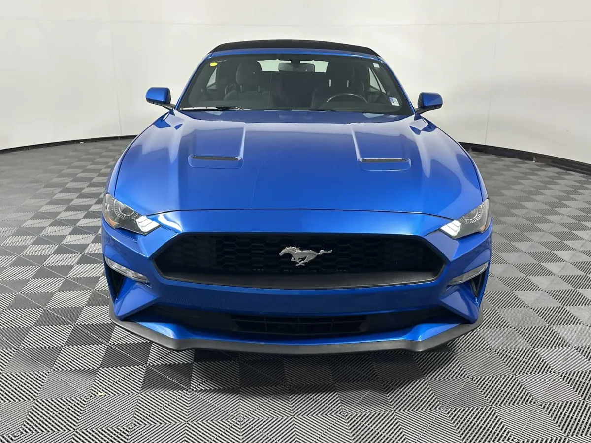2019 Ford Mustang EcoBoost thumbnail 3