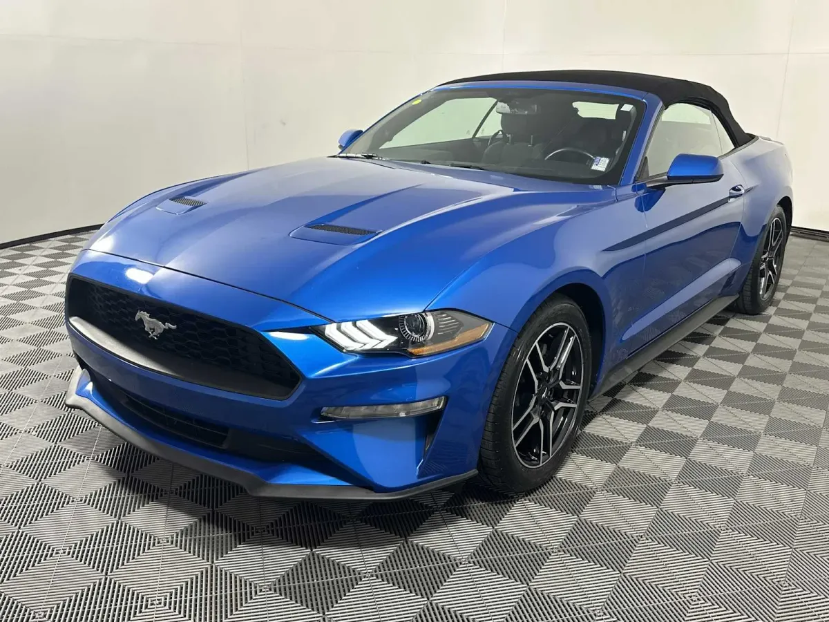 2019 Ford Mustang EcoBoost thumbnail 6