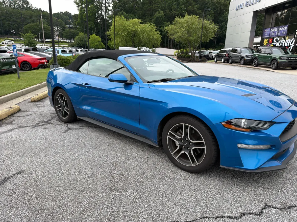 2019 Ford Mustang EcoBoost thumbnail 7