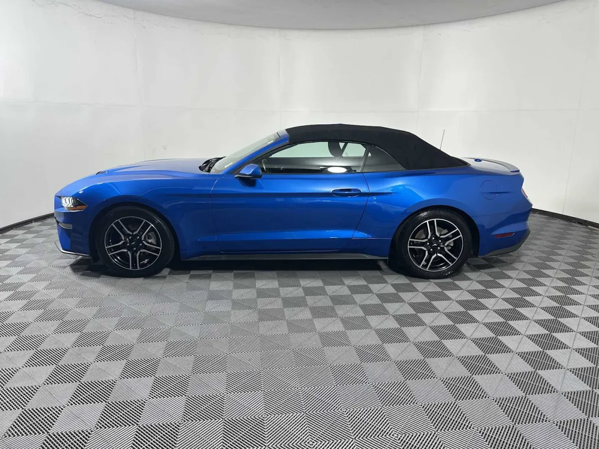 2019 Ford Mustang EcoBoost thumbnail 8