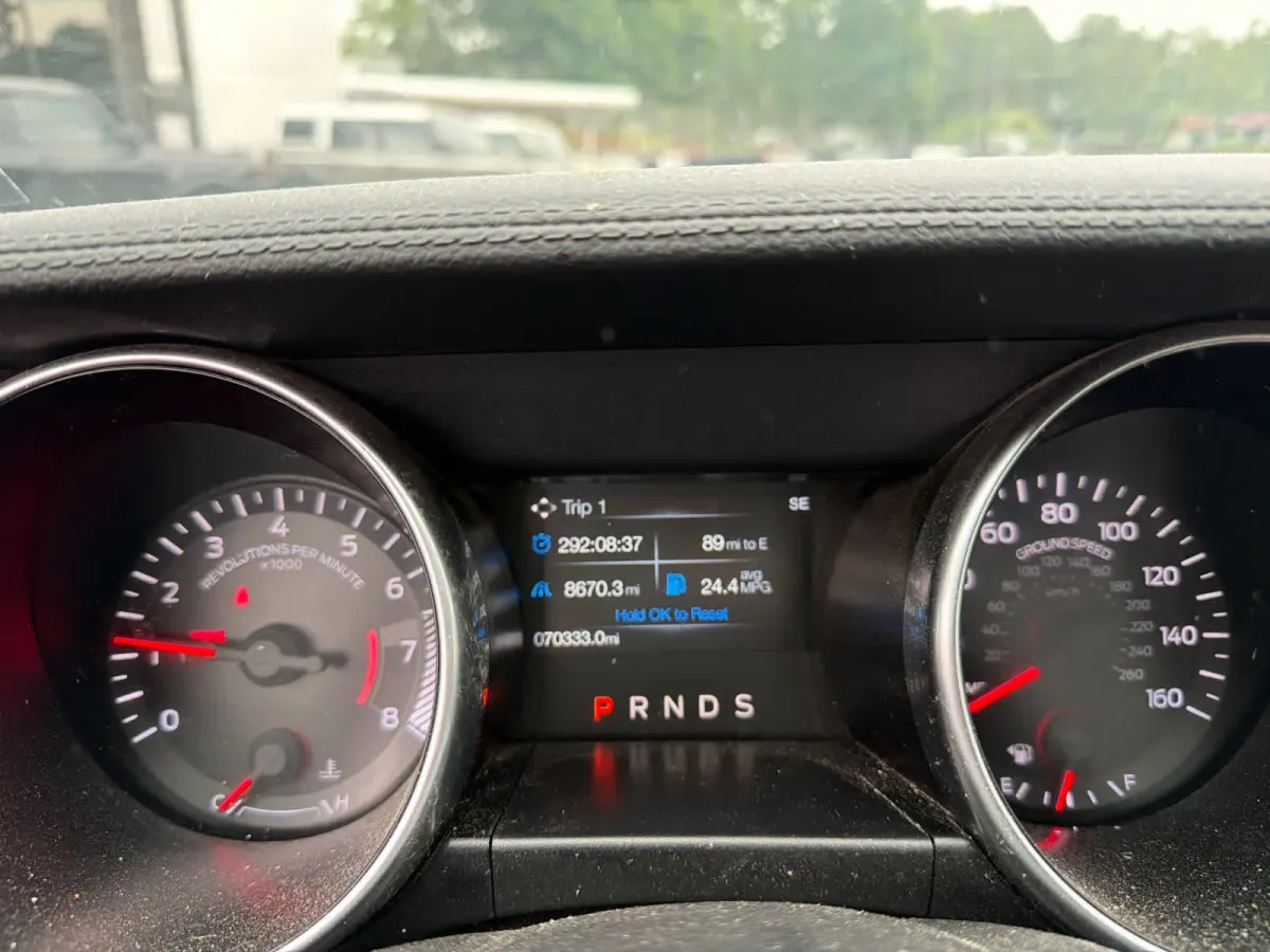 2019 Ford Mustang EcoBoost thumbnail 9